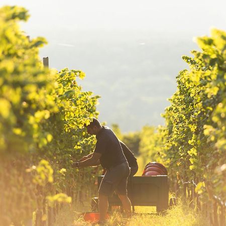 Appartamento Biobauernhof St. Quirinus Caldaro Esterno foto