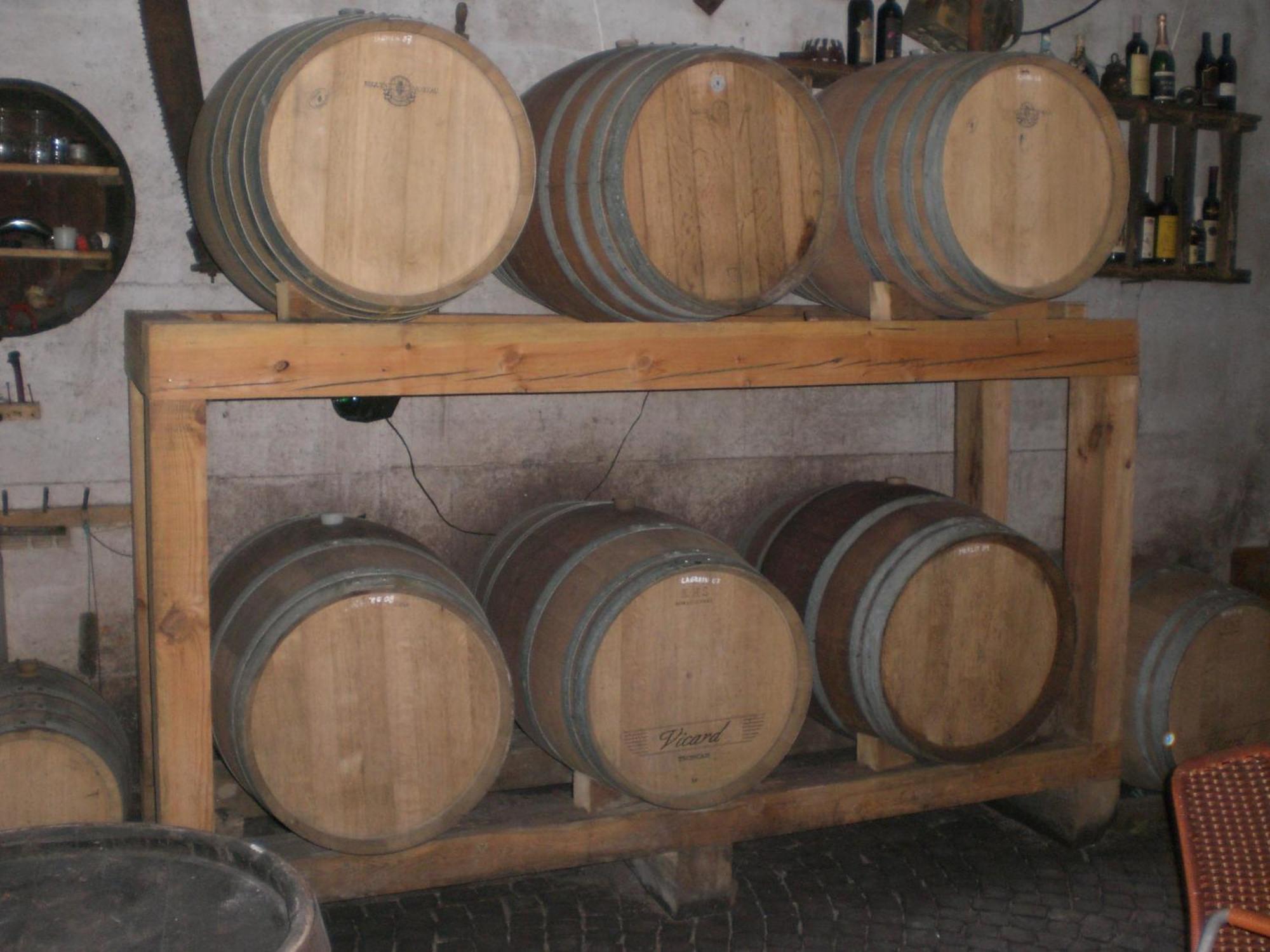 Appartamento Biobauernhof St. Quirinus Caldaro Esterno foto