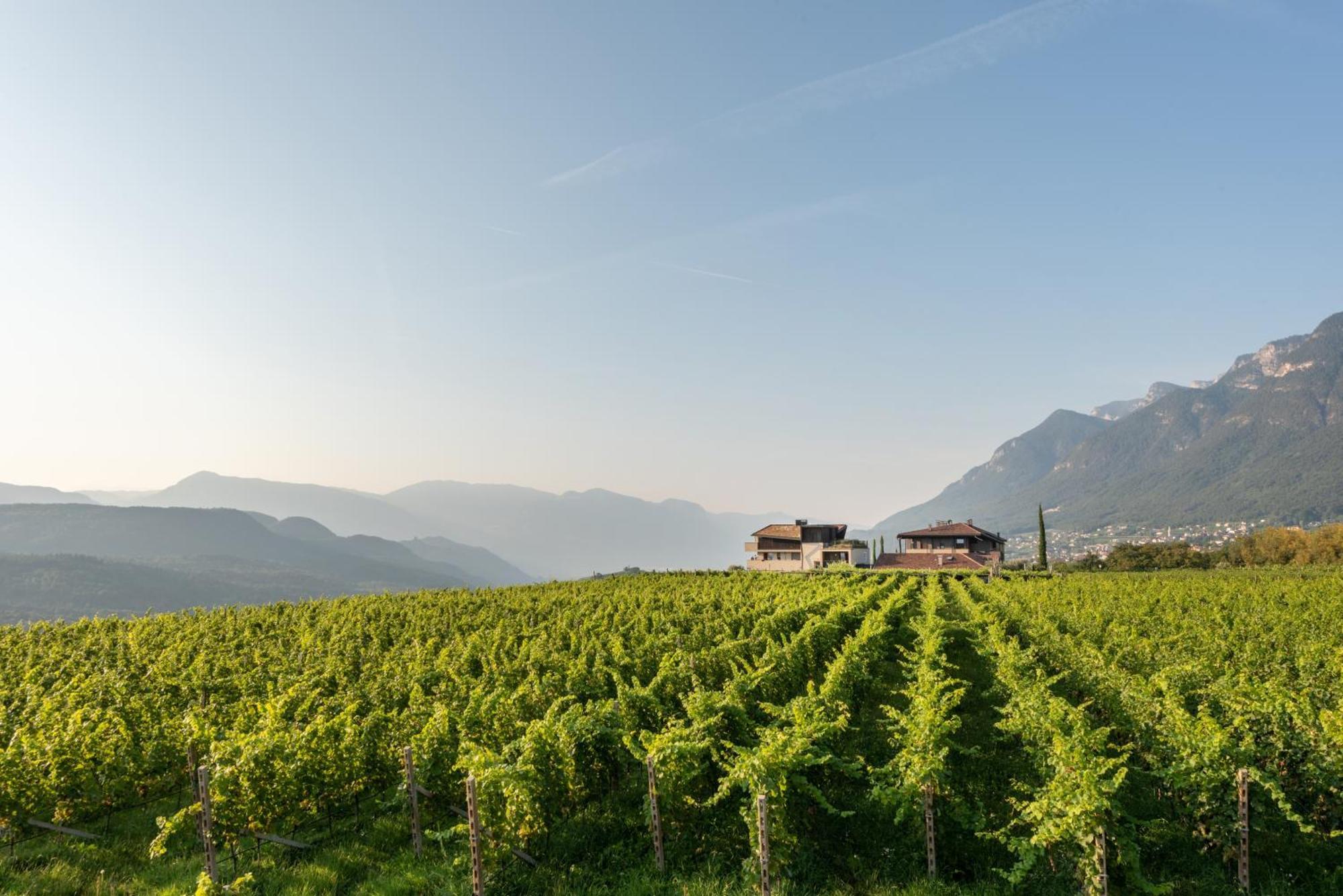 Appartamento Biobauernhof St. Quirinus Caldaro Esterno foto