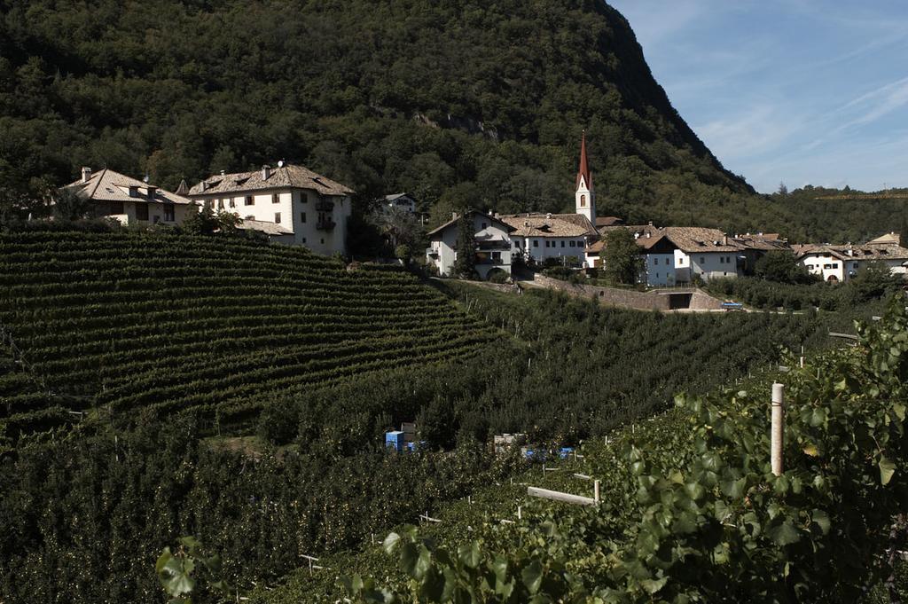 Appartamento Biobauernhof St. Quirinus Caldaro Esterno foto
