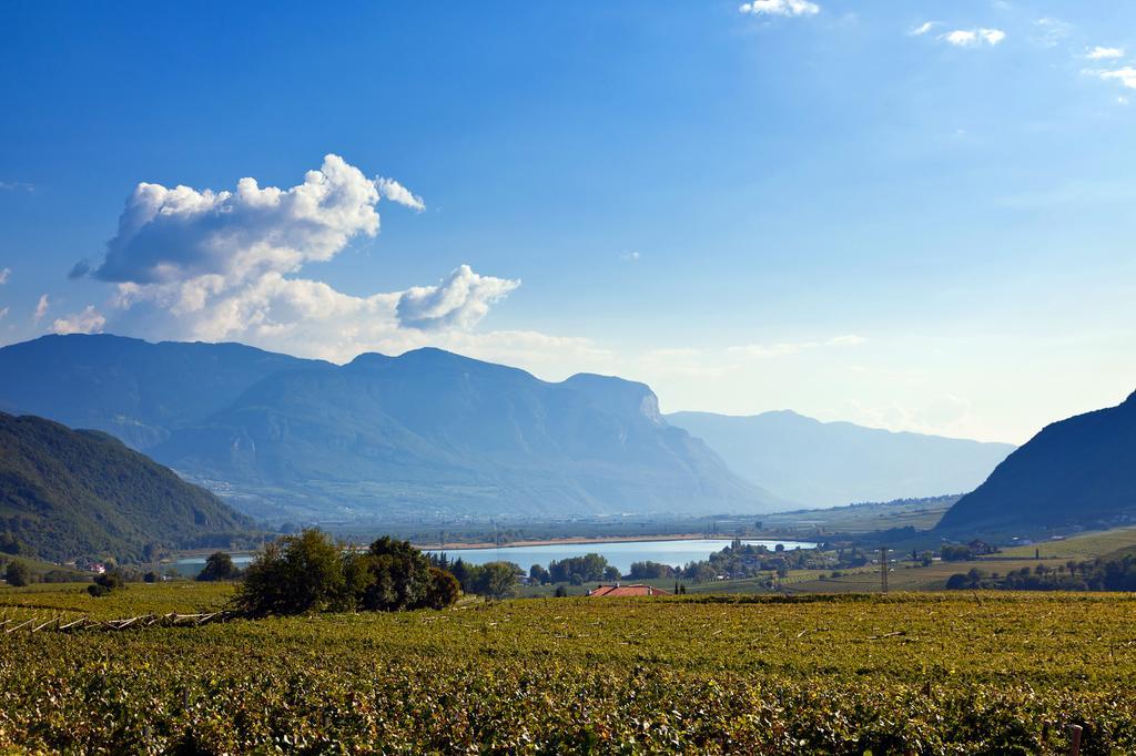 Appartamento Biobauernhof St. Quirinus Caldaro Esterno foto
