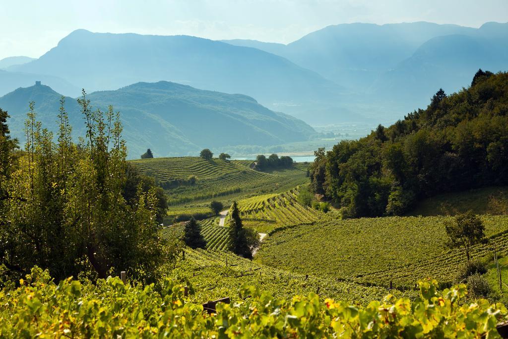 Appartamento Biobauernhof St. Quirinus Caldaro Esterno foto