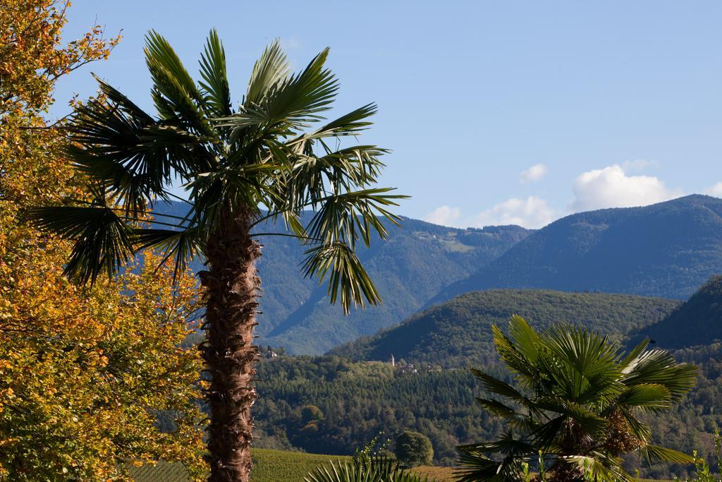 Appartamento Biobauernhof St. Quirinus Caldaro Esterno foto