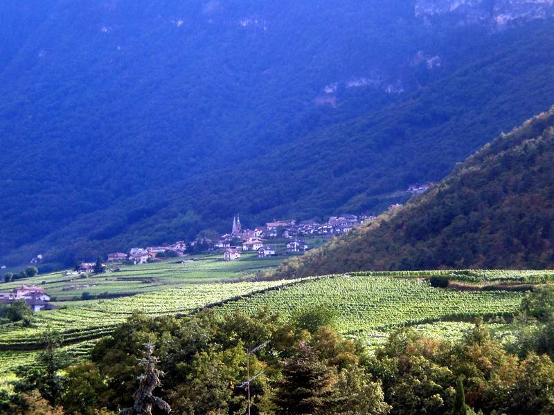 Appartamento Biobauernhof St. Quirinus Caldaro Esterno foto