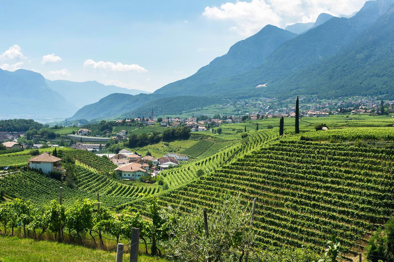 Appartamento Biobauernhof St. Quirinus Caldaro Esterno foto
