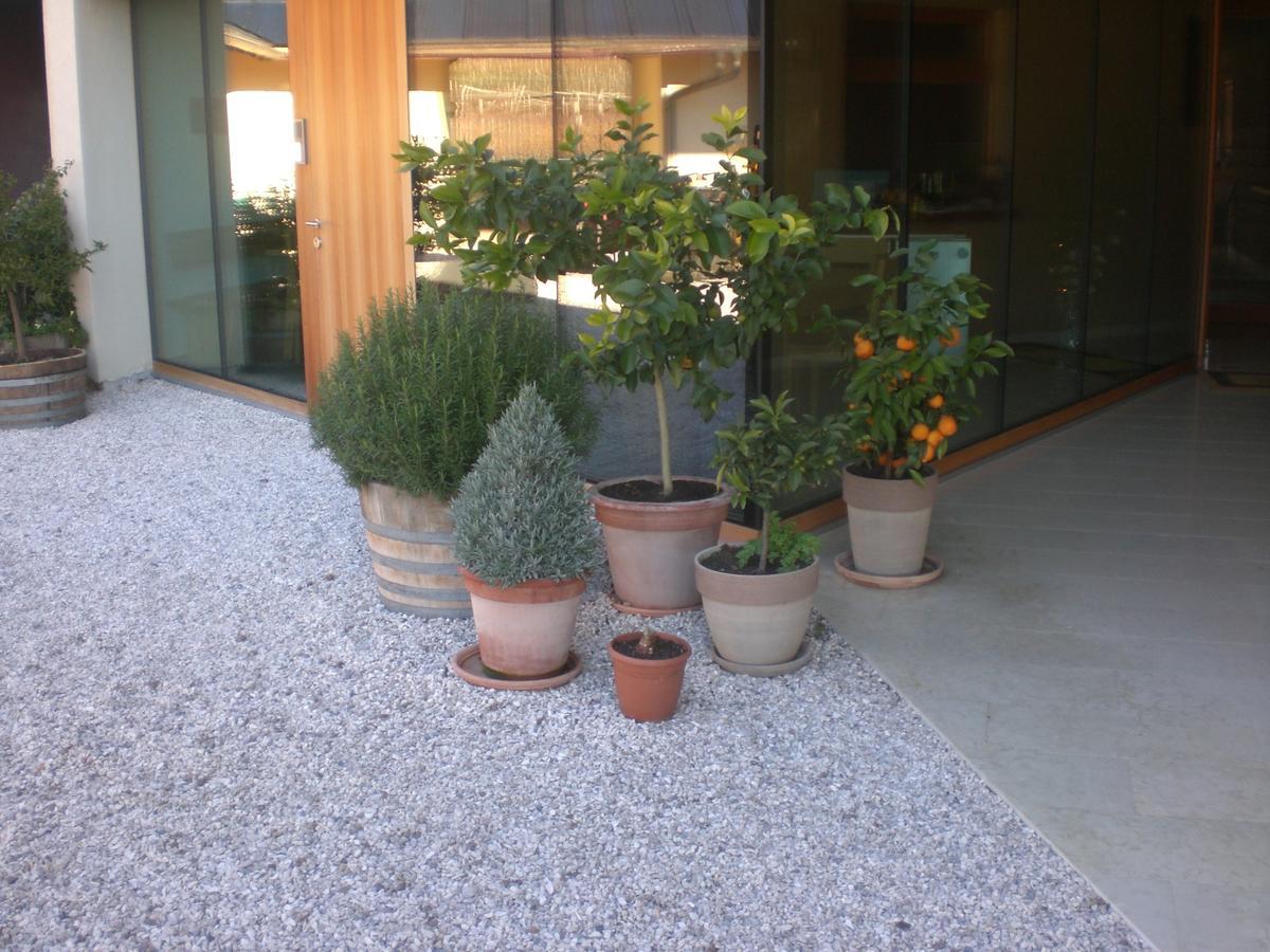 Appartamento Biobauernhof St. Quirinus Caldaro Esterno foto