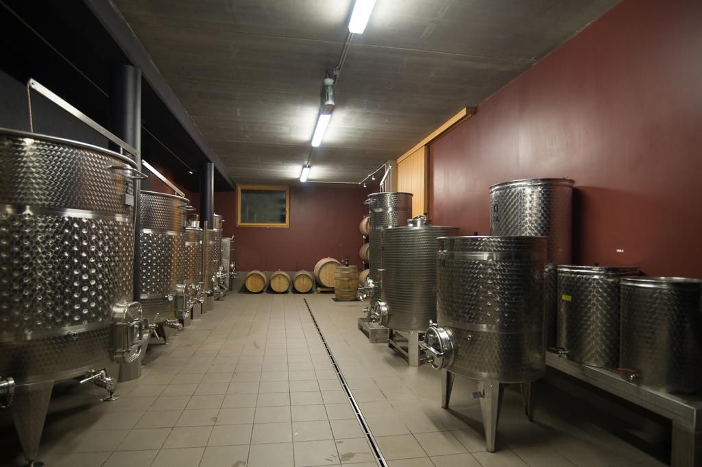 Appartamento Biobauernhof St. Quirinus Caldaro Esterno foto