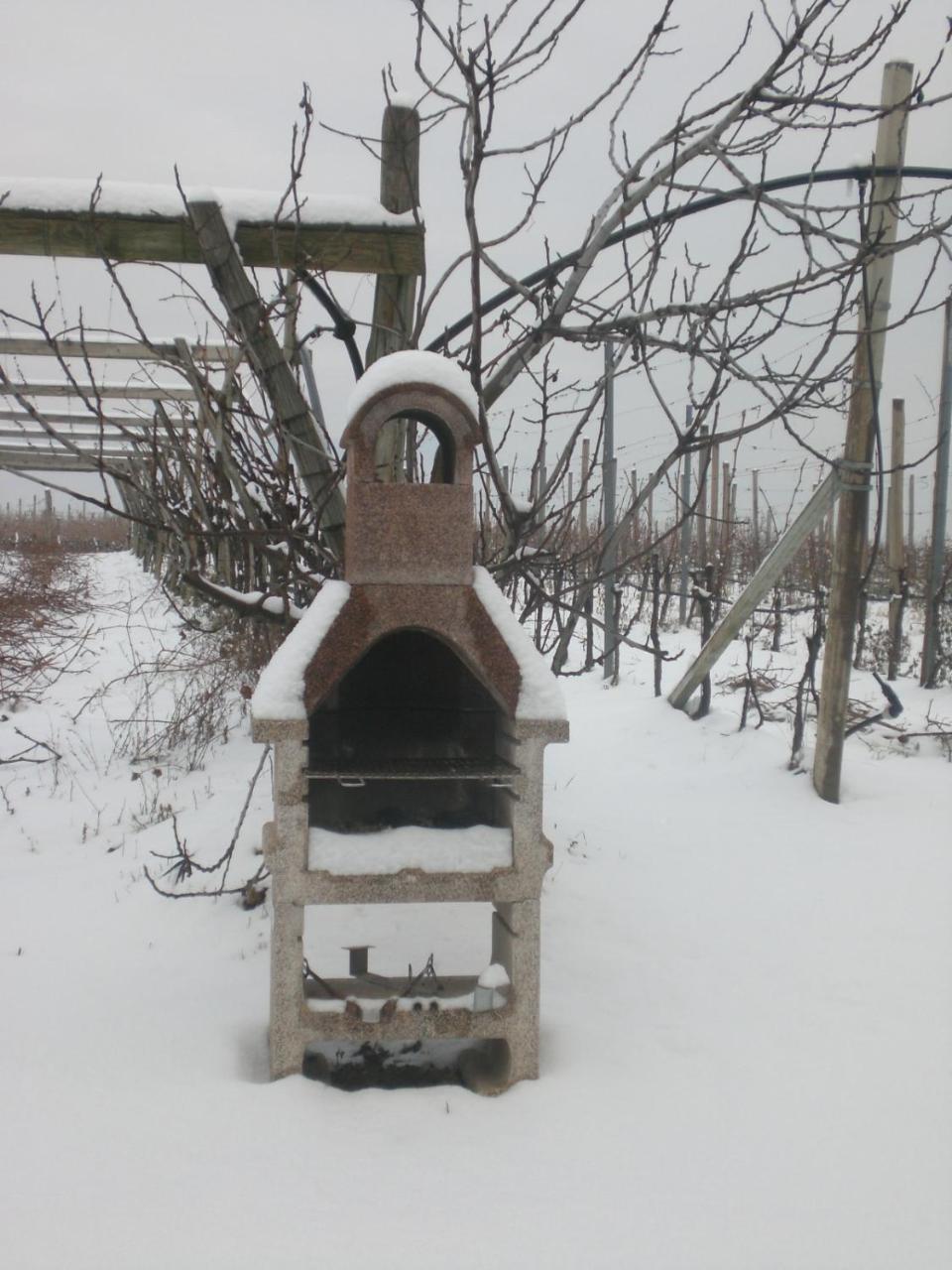 Appartamento Biobauernhof St. Quirinus Caldaro Esterno foto